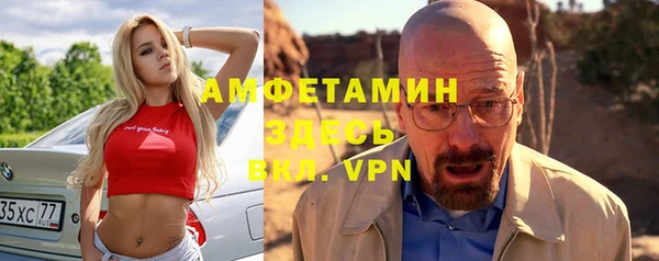 прущие грибы Гусев