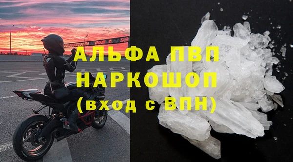 сатива Белокуриха