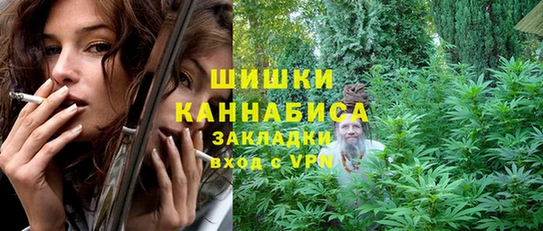 сатива Белокуриха