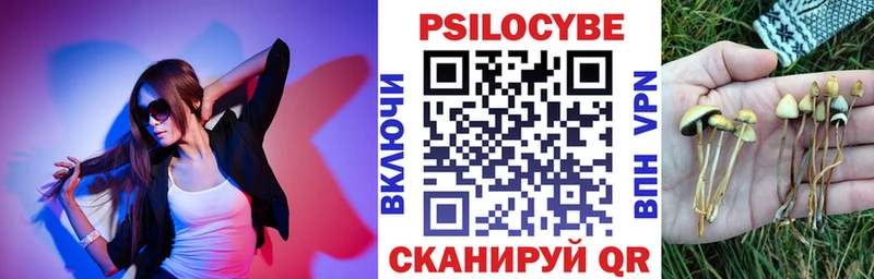 Галлюциногенные грибы Psilocybine cubensis  Верхний Тагил 